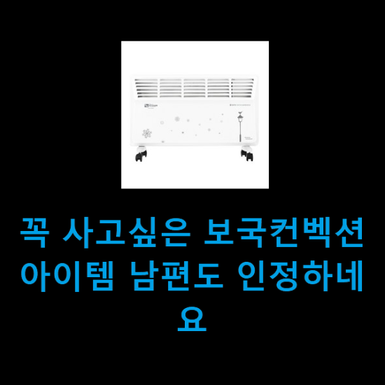 꼭 사고싶은 보국컨벡션 아이템 남편도 인정하네요 꼭 사고싶은 보국컨벡션 아이템 남편도 인정하네요
