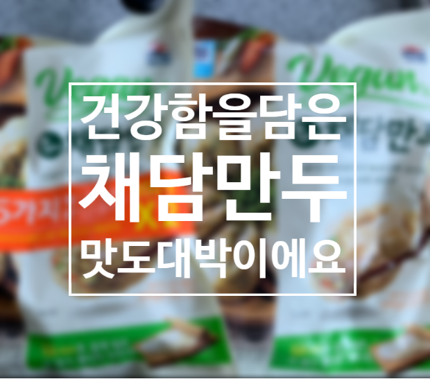  채담만두 건강함과 맛을 다 잡았네요~