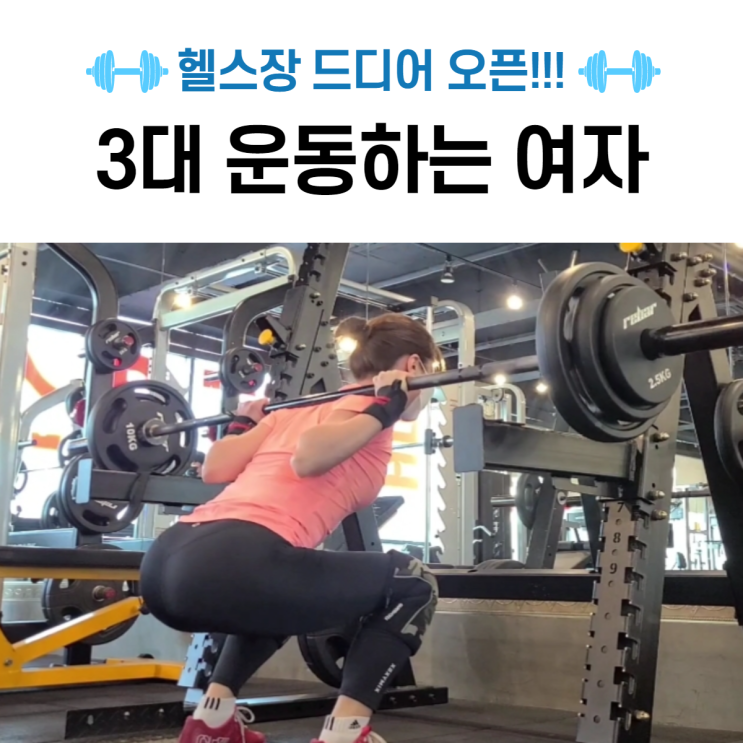  헬스장 영업재개_ 3대 운동하는 여약사 보셨나요