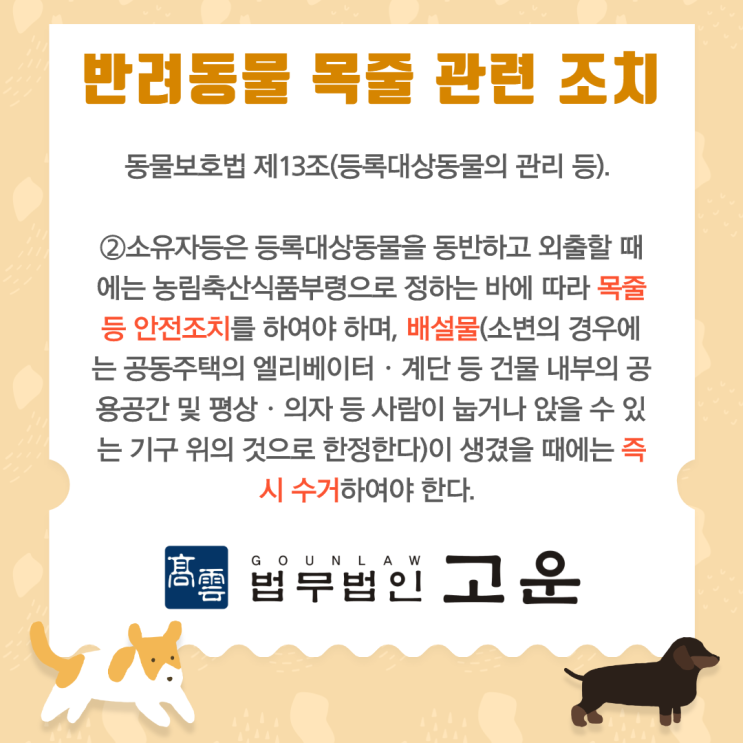  [동탄형사전문변호사] 반려동물 목줄, 입마개와 학대 관련 문제에 대하여 알려드리겠습니다