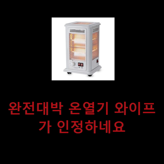 완전대박 온열기 와이프가 인정하네요 완전대박 온열기 와이프가 인정하네요