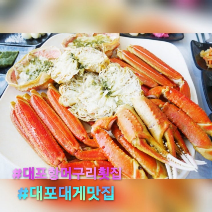  속초맛집 속초가볼만한곳