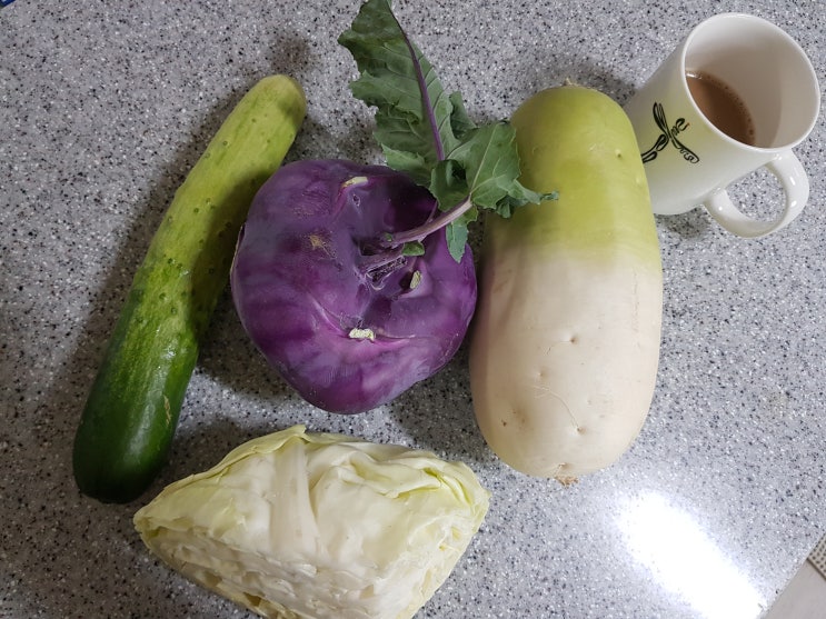  아이반찬 달지 않은 피클 만들기