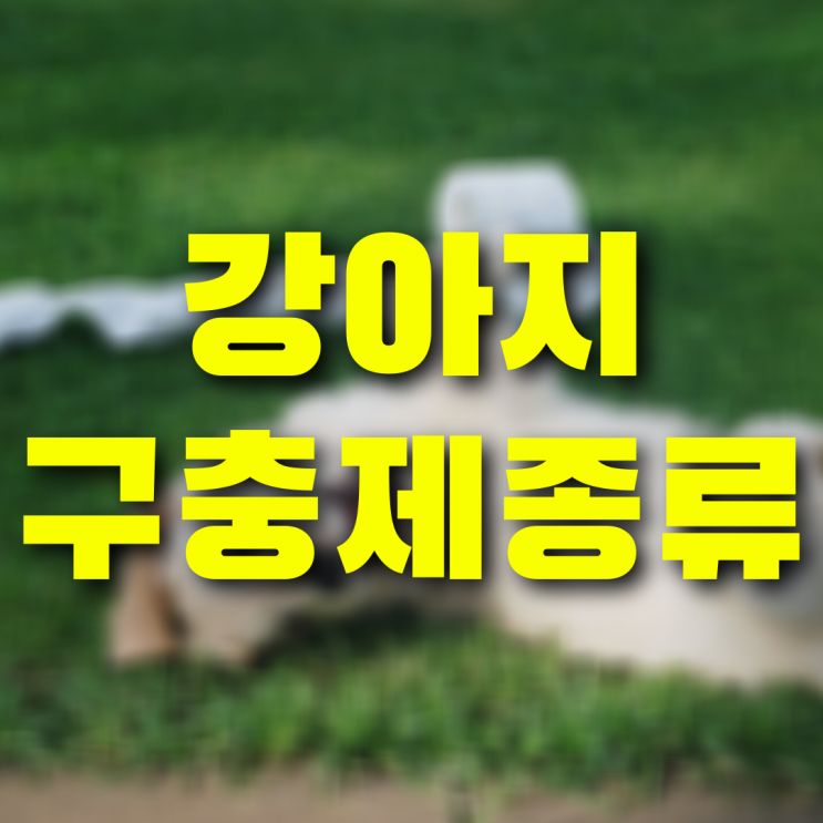  강아지 외부기생충약 내부기생충약 특징 및 약 조합