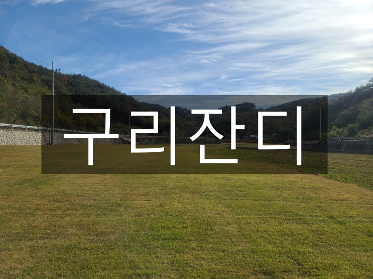  서울과 한강이 지나는 구리 잔디 배달