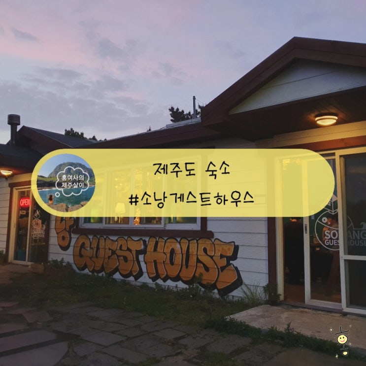 「제주」 월정리 소낭 게스트하우스, 아침스냅투어 '안돌오름 비밀의 숲' 「제주」 월정리 소낭 게스트하우스, 아침스냅투어 '안돌오름 비밀의 숲'