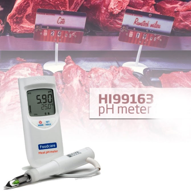 HI99163/육류용 ph 측정기/ 반고체용HI99163/MEAT용PH METER/고기PHMETER/HANNA PH METER ...