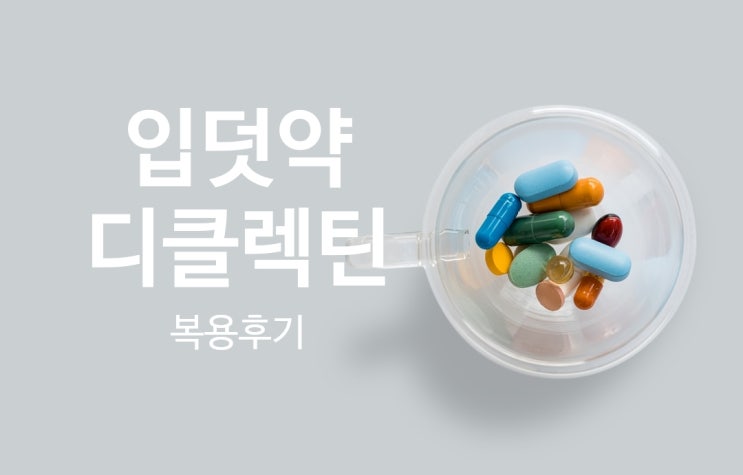  임산부 입덧약 디클렉틴 복용후기(부작용.입덧약종류비교)
