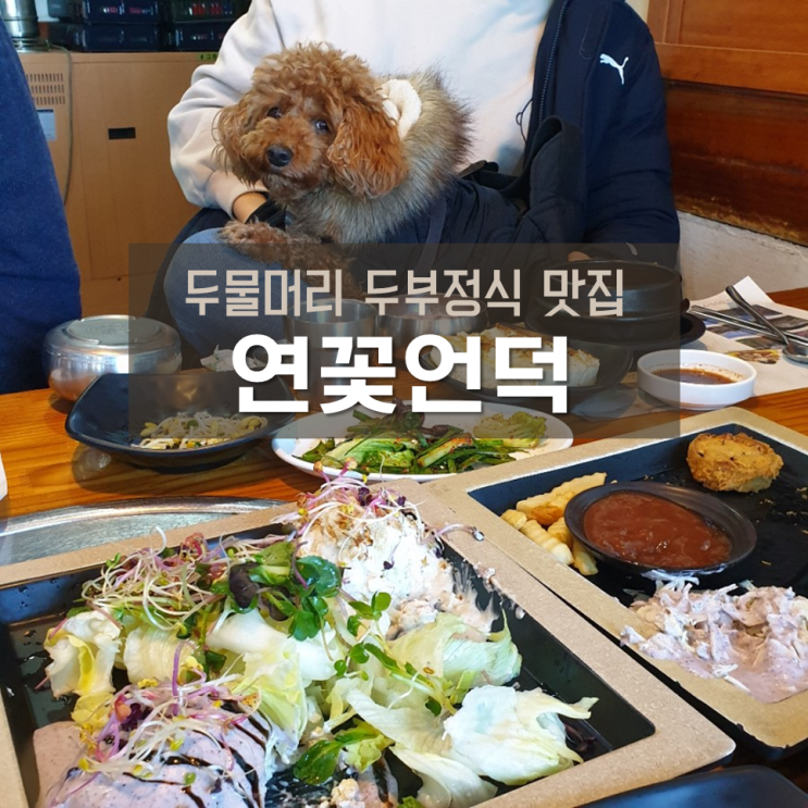  두물머리 애견동반 식당 연꽃언덕, 카페 로터스빈; 북한강뷰 두부정식 맛집