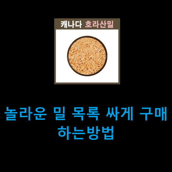 놀라운 밀 목록 싸게 구매하는방법