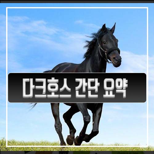  다크홀스(다크호스) 책 초간단 요약본