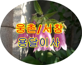 웅촌용달 서창 출발합니다. 웅촌용달 서창 출발합니다.
