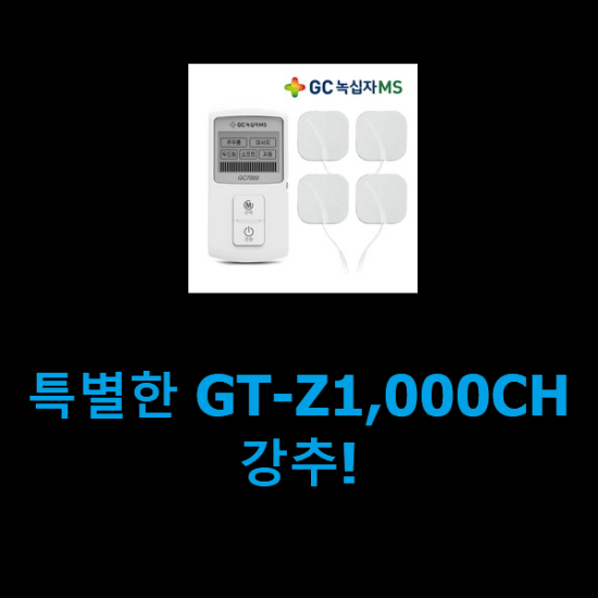 특별한 GT-Z1,000CH 강추!