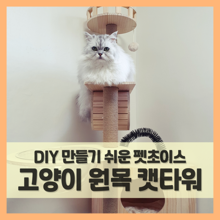  고양이 캣타워 DIY만들기, 펫초이스 원목 켓타워 추천 (f. 놀아주는법)