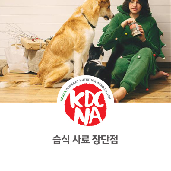  [전주/대전/세종/천안/아산/펫푸드자격증/창업]반려밥상이 알려주는 강아지 습식사료 장단점_711