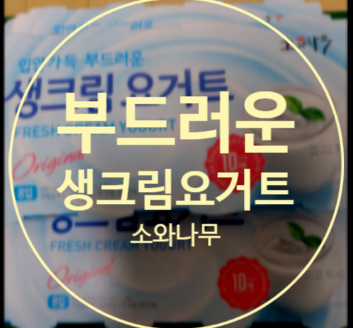  하루 한개 부드러운 생크림 요거트 드셔야죠