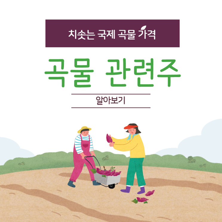 치솟는 국제 곡물 가격 ‘곡물 관련주’ 알아보기