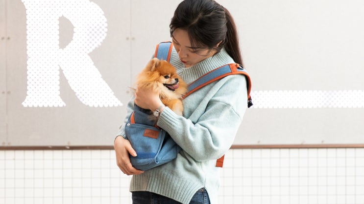  소형견을 위한 어부바가방 라이트 제작, 두번째 와디즈 클라우드 펀딩 도전중!