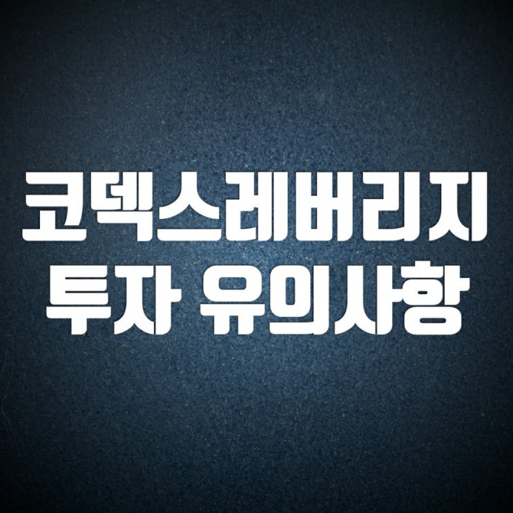 코덱스(kodex) 레버리지 ETF 투자 유의점 알고 가기 코덱스(kodex) 레버리지 ETF 투자 유의점 알고 가기