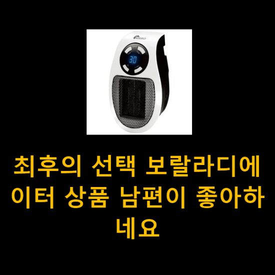 최후의 선택 보랄라디에이터 상품 남편이 좋아하네요 최후의 선택 보랄라디에이터 상품 남편이 좋아하네요