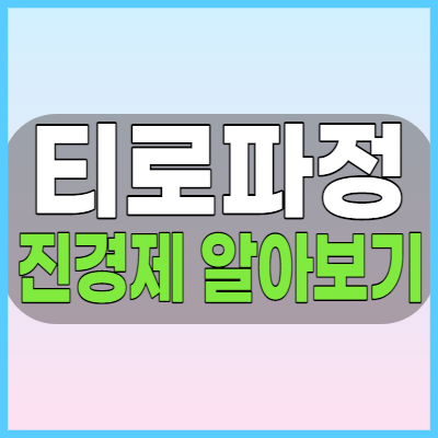  티로파정 진경제 복용전 효능 복용법 및 부작용 등 주의사항 체크해봅시다