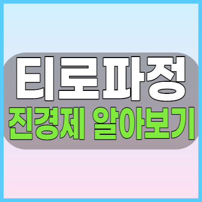 티로파정 진경제 복용전 효능 복용법 및 부작용 등 주의사항 체크해봅시다