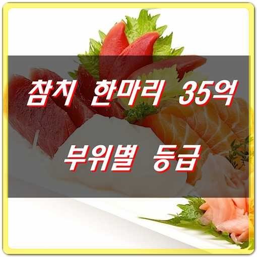  참치 한마리 35억? 참치도 부위별 등급이 있다!