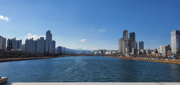  2달만의 즐거운 만남 !! 태화강과 배달의 다리의 풍경 - 하편