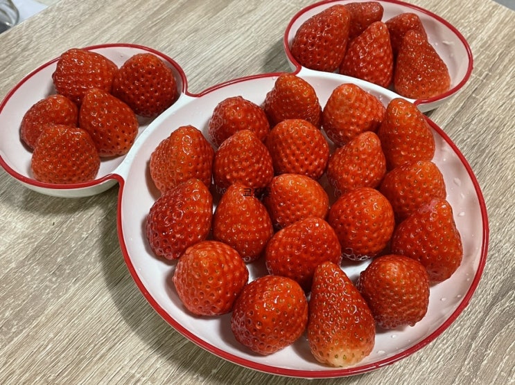  [이마트 딸기 추천]항상 맛있는 산청장희딸기 ️ 내돈내산:내돈내먹 후기