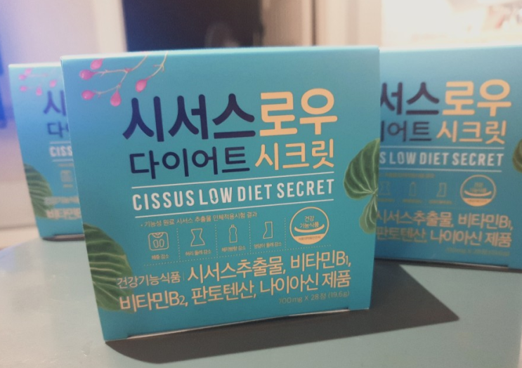  나 다시 돌아갈래~~!!! 다이어트 할 수 있을까?!