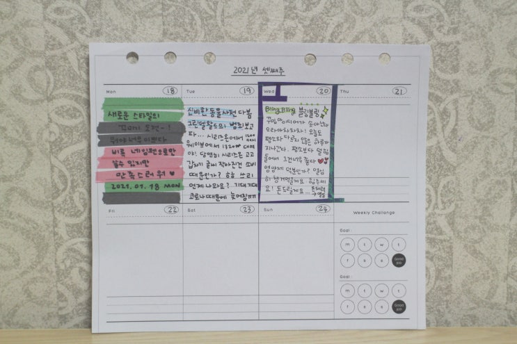  다이어리꾸미기 _ 2021년 셋째주 위클리 꾸미기