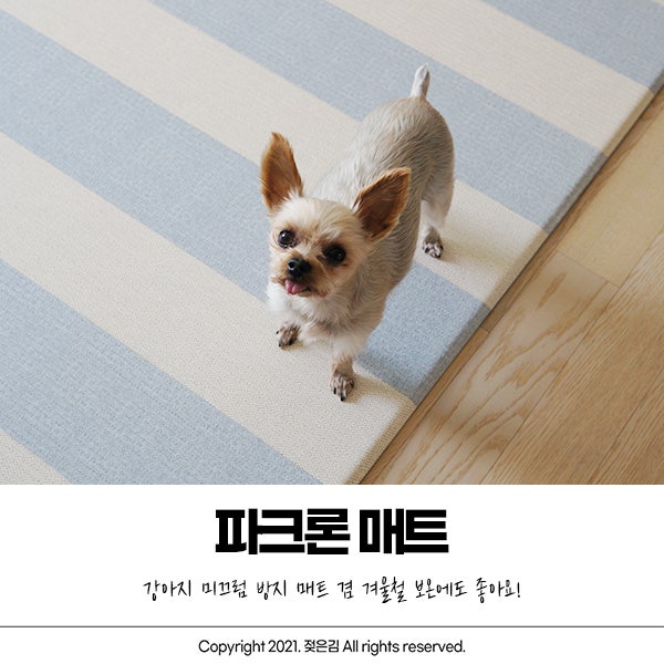 내돈내산 강아지 미끄럼 방지 매트로 파크론 매트 샀어요 내돈내산 강아지 미끄럼 방지 매트로 파크론 매트 샀어요