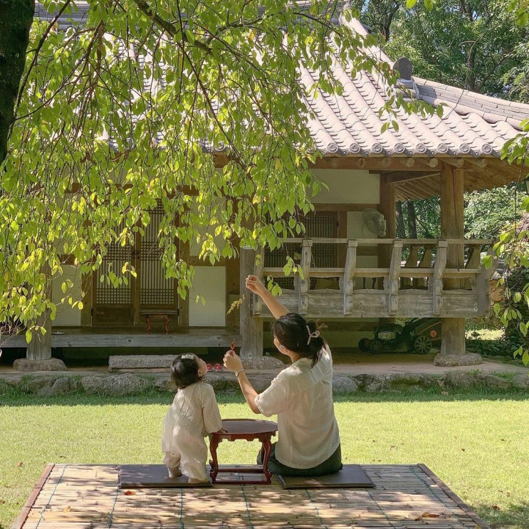 [전남 가볼만한곳] 구례 핫플 쌍산재부터 여수 인생 숙소까지, 전남 여행 코스 추천