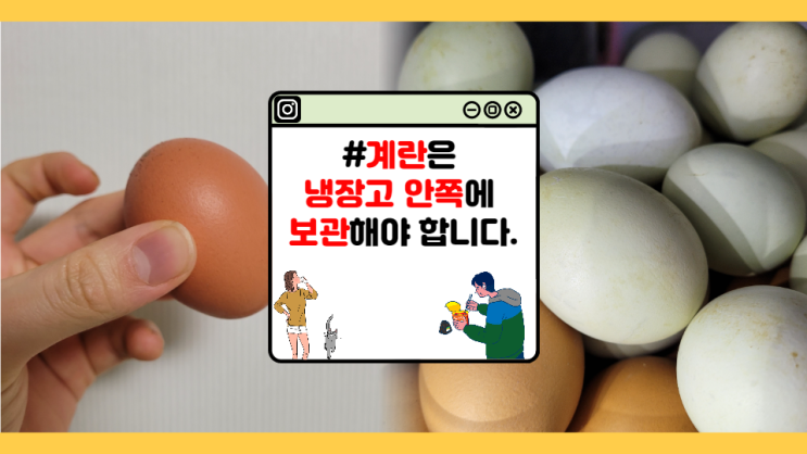  [자취초년생] 계란은 냉장고 안쪽에 보관해야 합니다. (feat. 달걀 보관법)