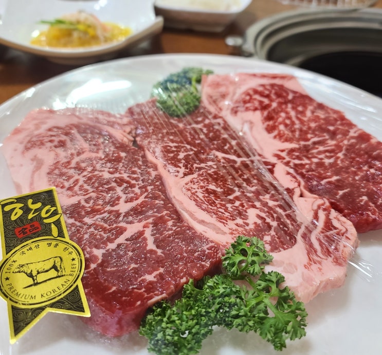  대전 한밭수목원 맛집 총체보리한우  만년동 한우 맛있고 가격도 착함!