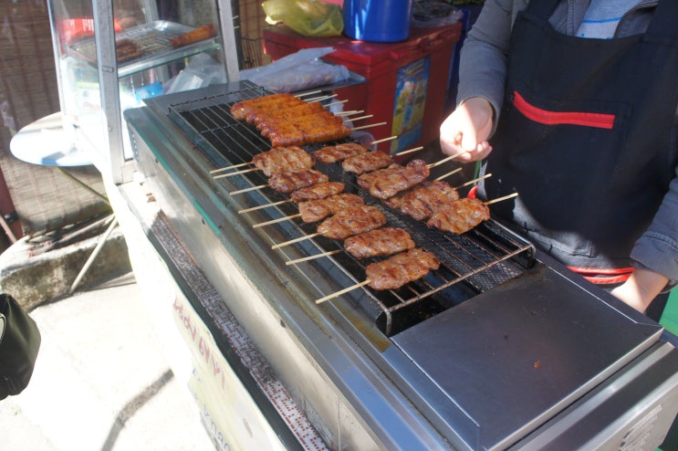 치앙마이 도이수텝 (3) 치앙마이 도이수텝 (3)