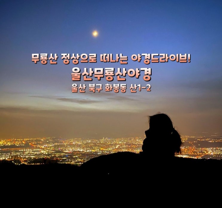  국내여행 울산여행 언택트여행/무룡산에서 즐기는 울산아경!