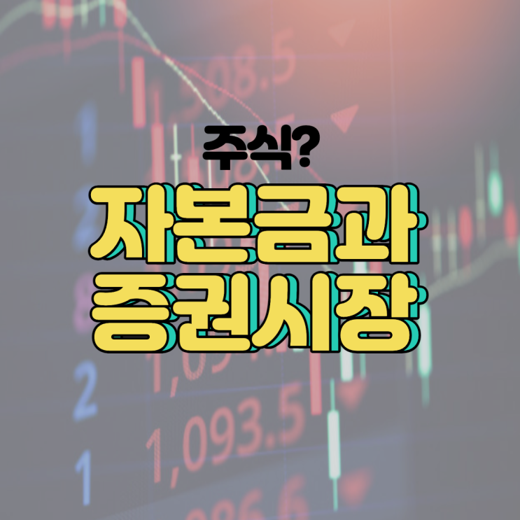  주식? 자본금과 증권시장