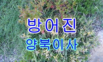 방어진용달 양북 이사갑니다.