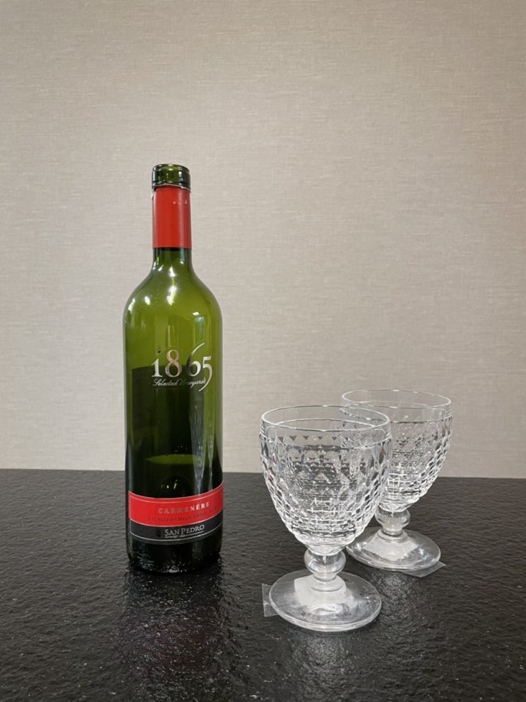  빌레로이앤보흐 고블렛 310ml, 신혼부부 집들이 선물, 와인잔 굿!