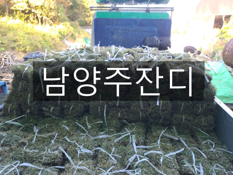  도농 복합도시 남양주 잔디 배송