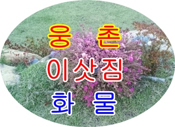  웅촌용달 서창 덕계 저렴해요.