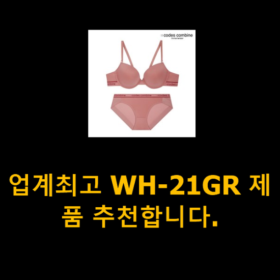 업계최고 WH-21GR 제품 추천합니다.