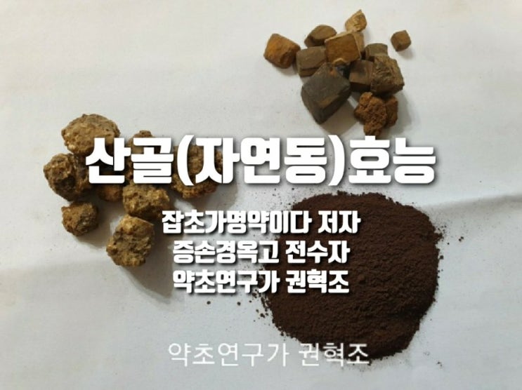  산골(자연동)효능
