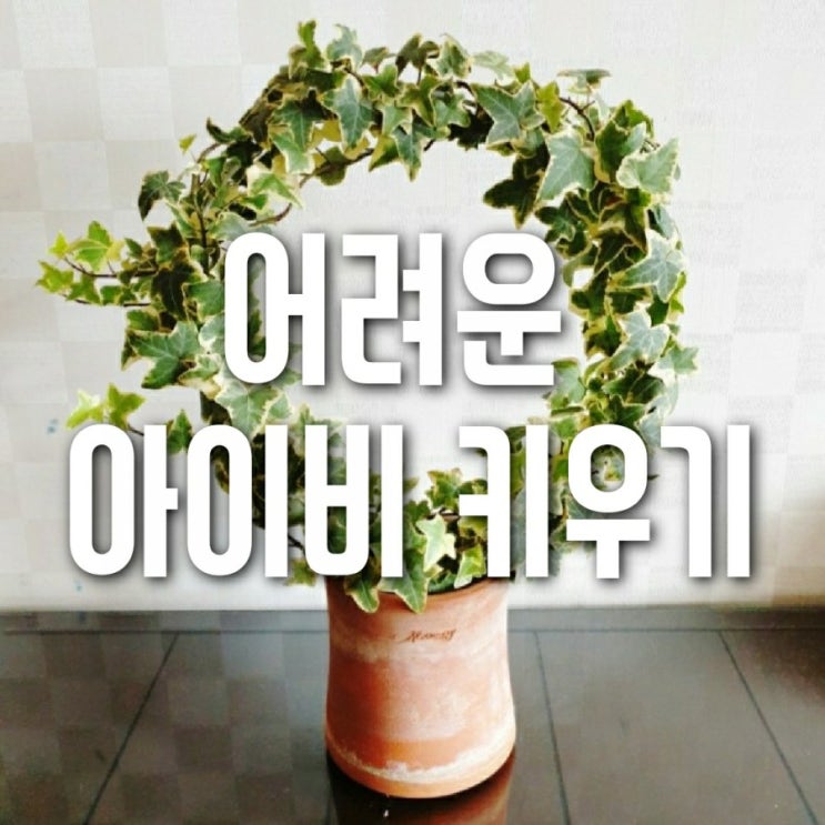  [1년전] 아이비 트리 만들기
