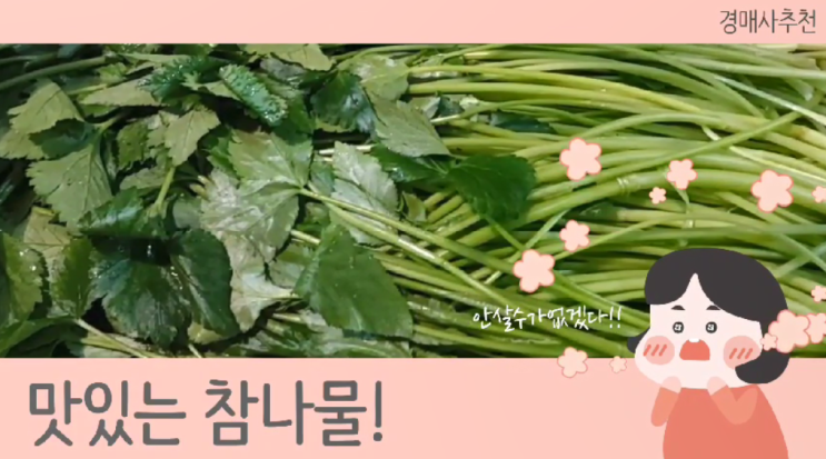  경매사에게 부탁해! 오늘은 뭐 먹어? 참나물!