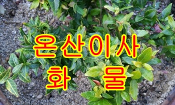  온산용달 진하 운송합니다.