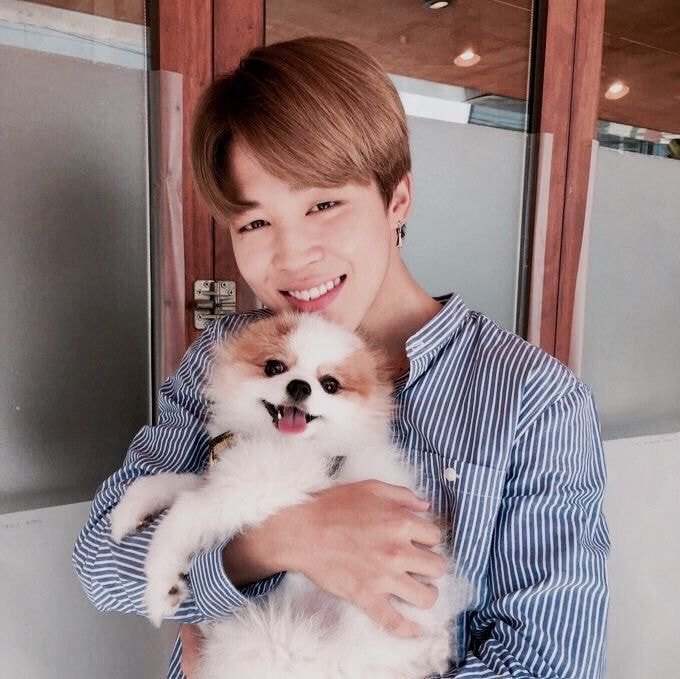 마약방석, 인간츄르 방탄소년단 박지민