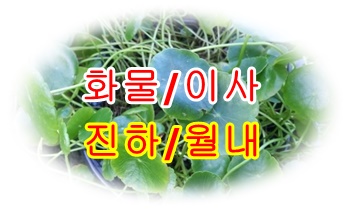  진하용달 월내에서 이사합니다.