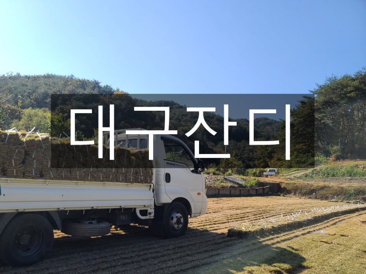  낙동강 유역의 핵심 도시 대구 잔디 배송